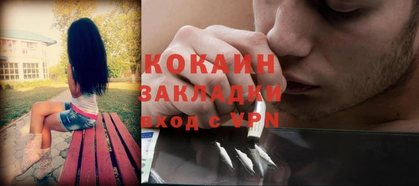 твердый Алзамай