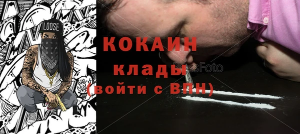 твердый Алзамай